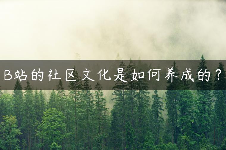 B站的社区文化是如何养成的? B站的社区文化是如何养成的?