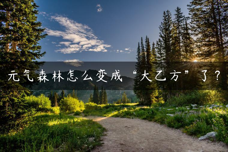 元气森林怎么变成“大乙方”了？