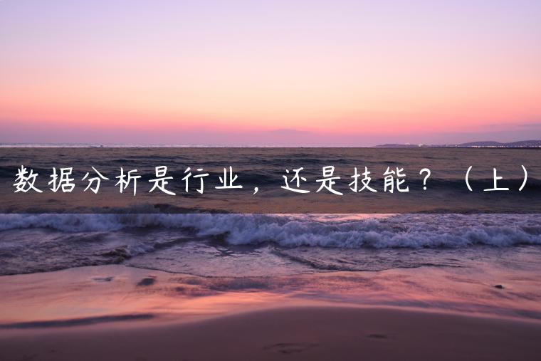 数据分析是行业，还是技能？（上）