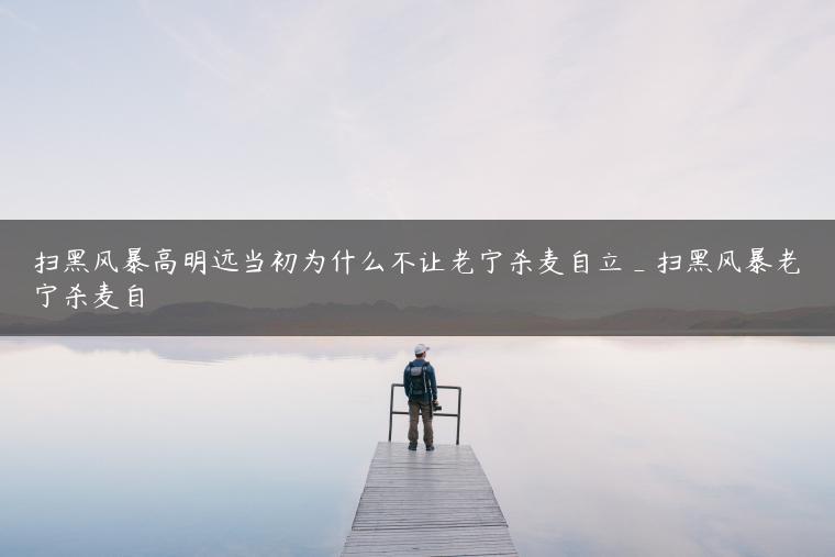 扫黑风暴高明远当初为什么不让老宁杀麦自立_扫黑风暴老宁杀麦自
