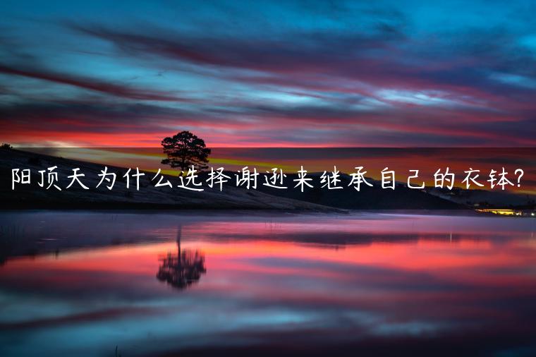 阳顶天为什么选择谢逊来继承自己的衣钵?