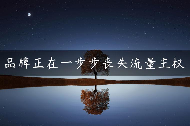 品牌正在一步步丧失流量主权