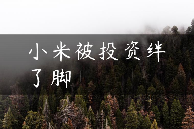 小米被投资绊了脚