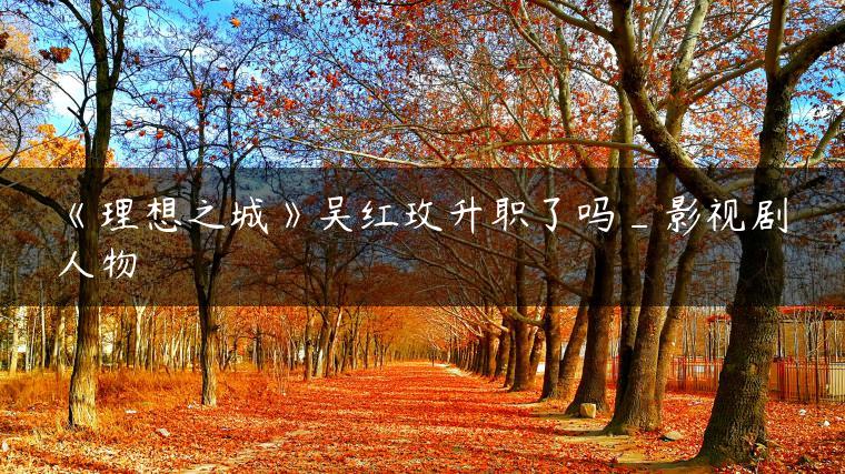 《理想之城》吴红玫升职了吗_影视剧人物