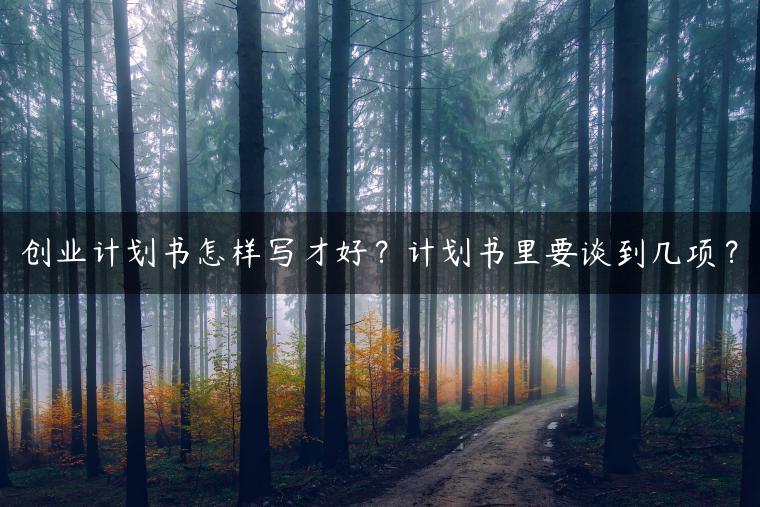 创业计划书怎样写才好？计划书里要谈到几项？