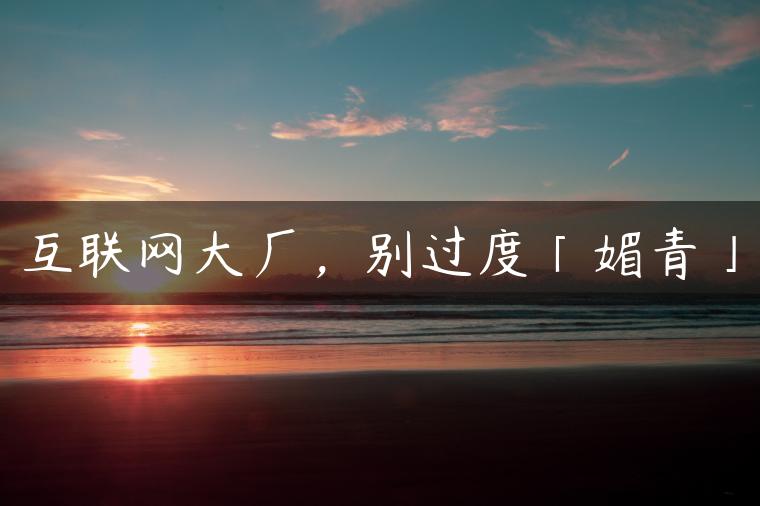 互联网大厂，别过度「媚青」