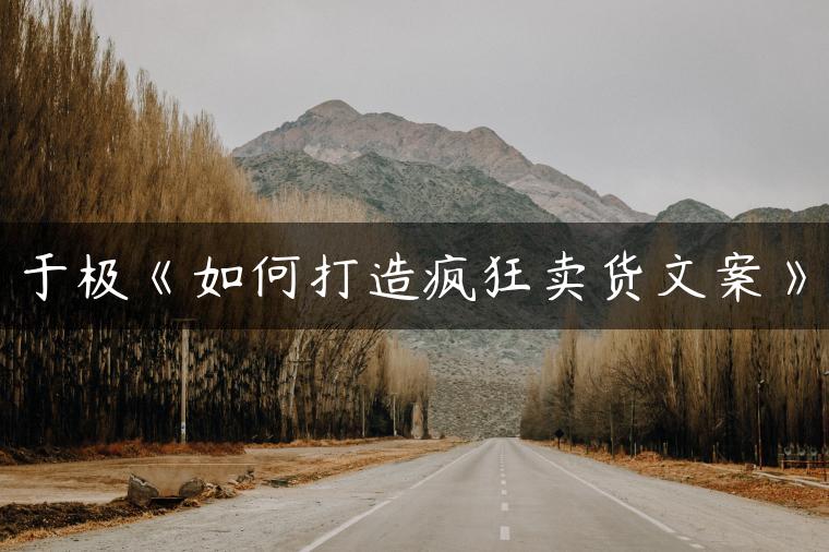 于极《如何打造疯狂卖货文案》