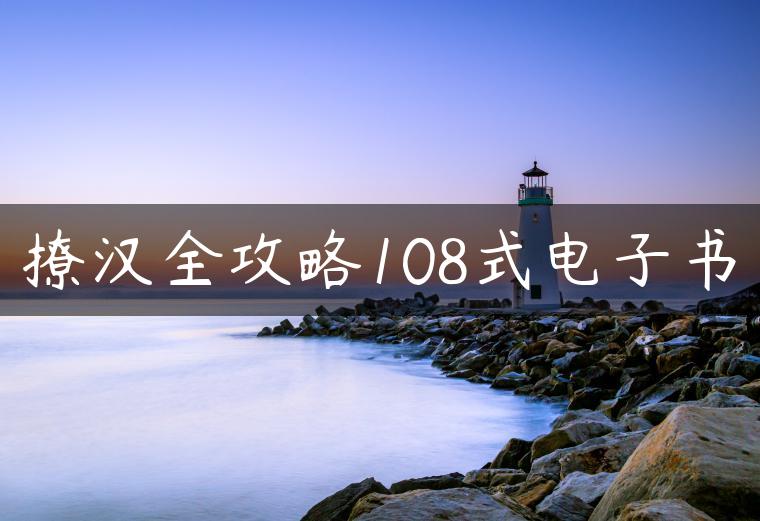 撩汉全攻略108式电子书