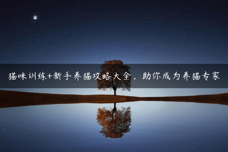 猫咪训练+新手养猫攻略大全，助你成为养猫专家