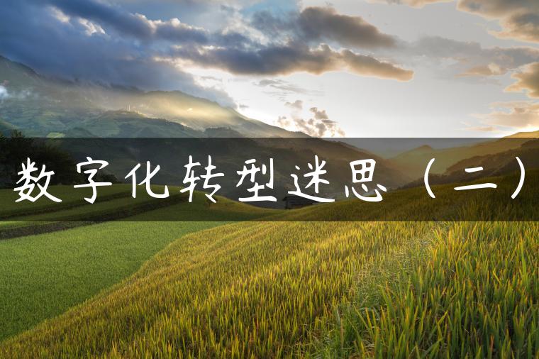 数字化转型迷思（二）