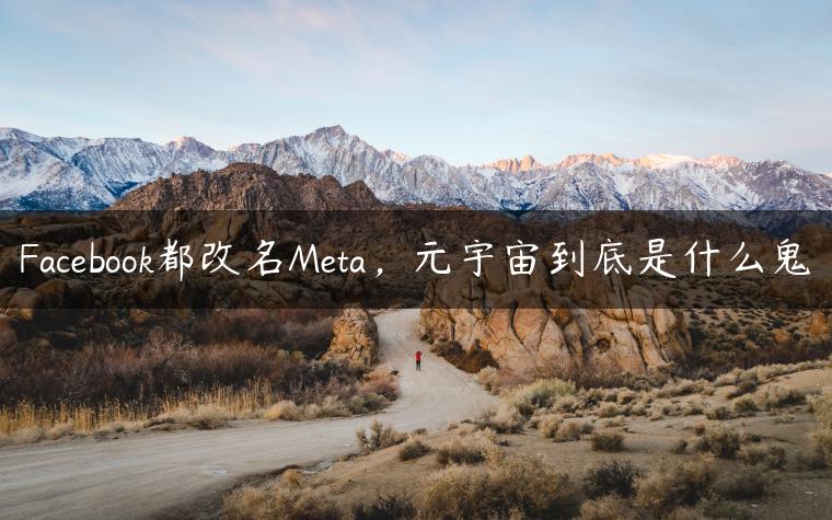 Facebook都改名Meta，元宇宙到底是什么鬼