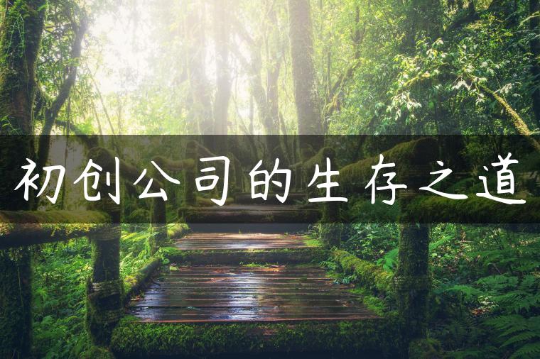 初创公司的生存之道