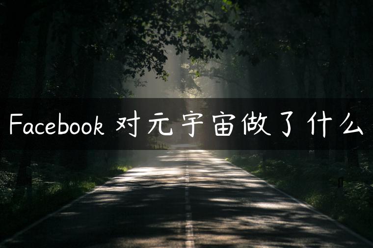Facebook 对元宇宙做了什么
