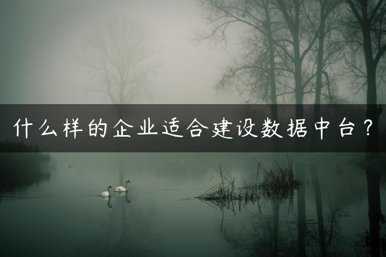 什么样的企业适合建设数据中台？