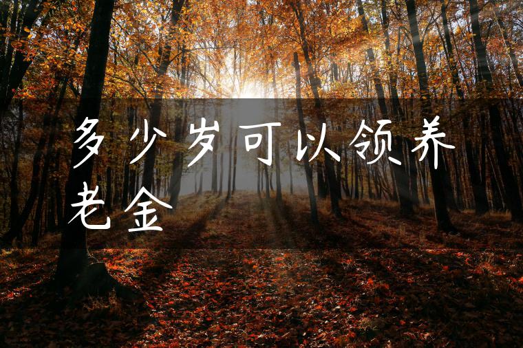 多少岁可以领养老金