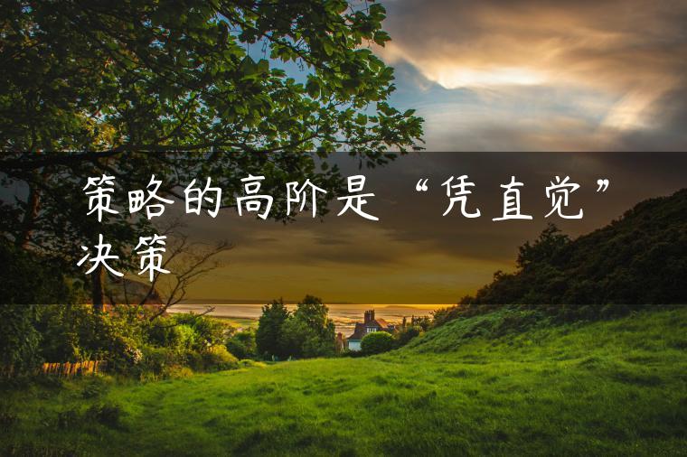 策略的高阶是“凭直觉”决策