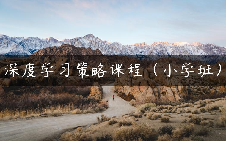 深度学习策略课程（小学班）