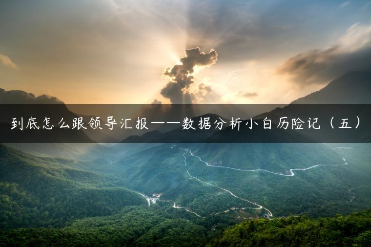 到底怎么跟领导汇报——数据分析小白历险记(五) 到底怎么跟领导汇报——数据分析小白历险记(五)