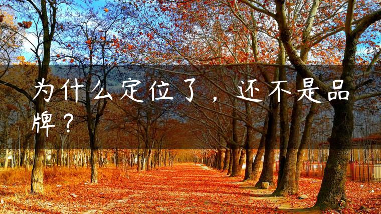 为什么定位了，还不是品牌？