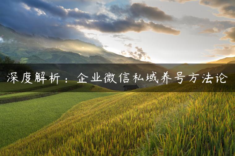 深度解析：企业微信私域养号方法论