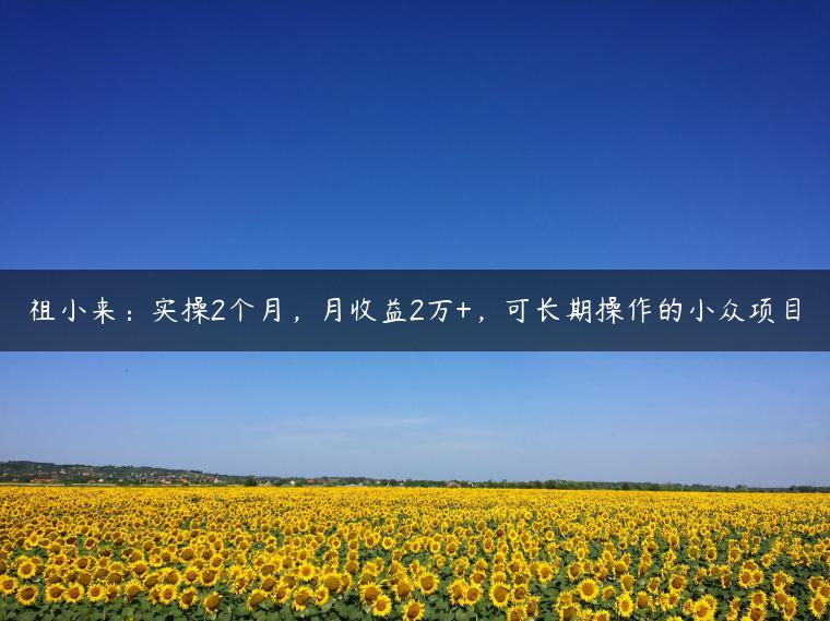 祖小来：实操2个月，月收益2万+，可长期操作的小众项目
