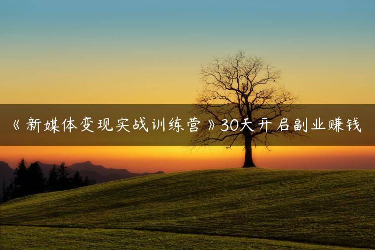 《新媒体变现实战训练营》30天开启副业赚钱