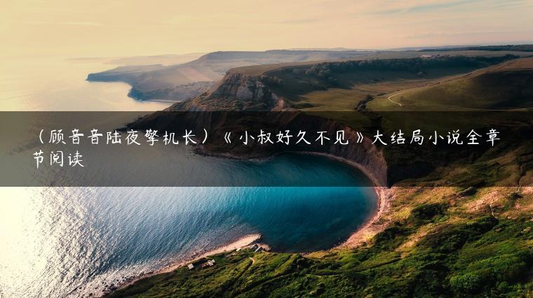 (顾音音陆夜擎机长)《小叔好久不见》大结局小说全章节阅读 (顾音音陆夜擎机长)《小叔好久不见》大结局小说全章节阅读