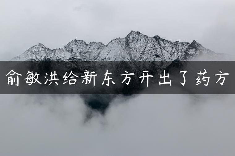 俞敏洪给新东方开出了药方