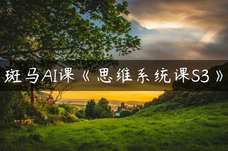 斑马AI课《思维系统课S3》