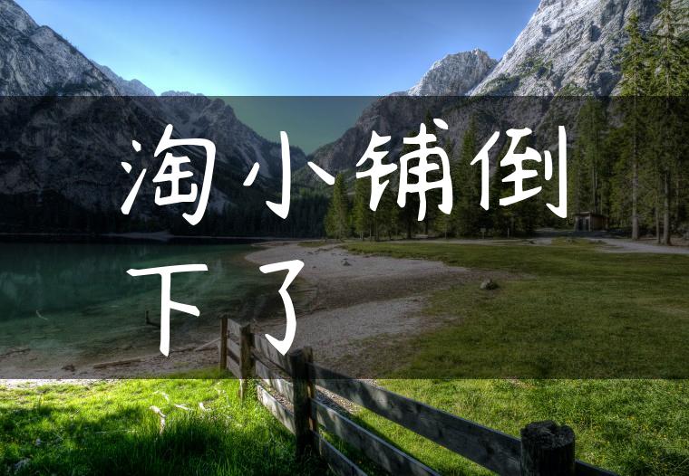 淘小铺倒下了