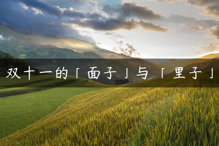 双十一的「面子」与 「里子」