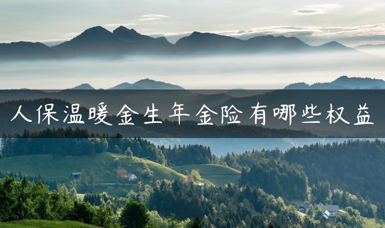 人保温暖金生年金险有哪些权益