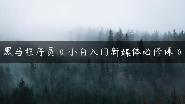 黑马程序员《小白入门新媒体必修课》