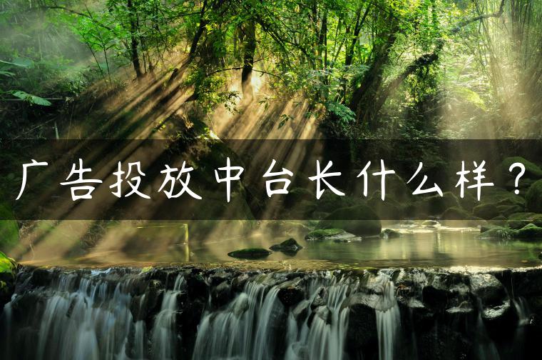广告投放中台长什么样？