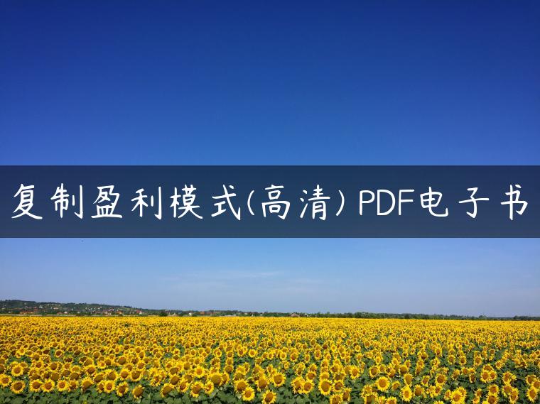 复制盈利模式(高清) PDF电子书 复制盈利模式(高清) PDF电子书