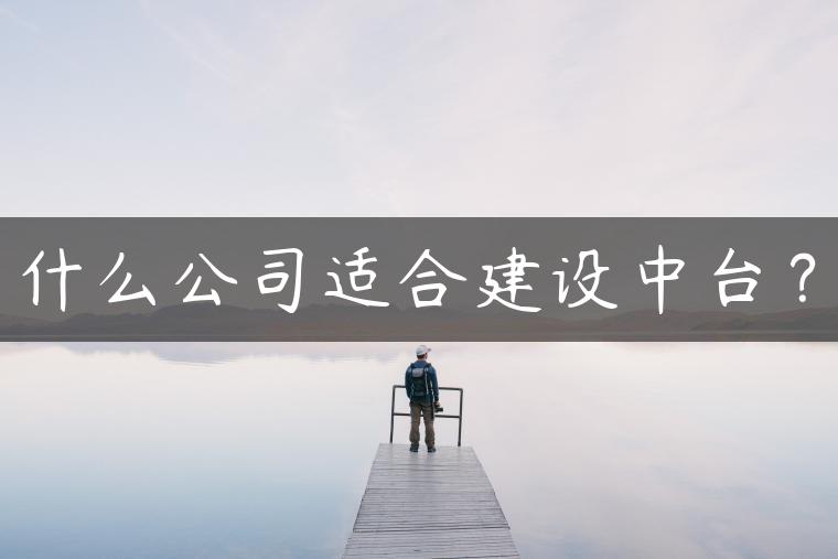 什么公司适合建设中台？
