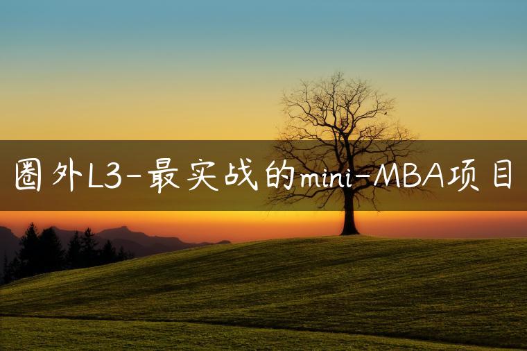 圈外L3-最实战的mini-MBA项目