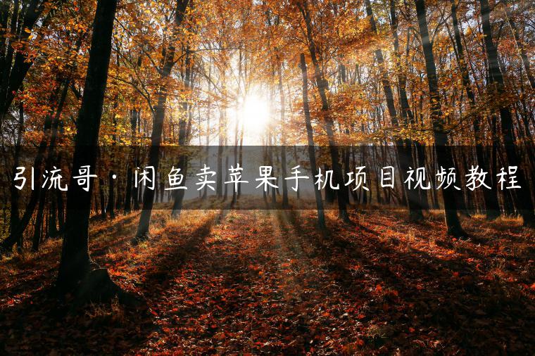 引流哥·闲鱼卖苹果手机项目视频教程