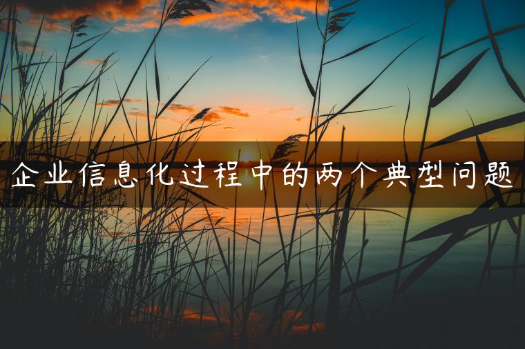 企业信息化过程中的两个典型问题
