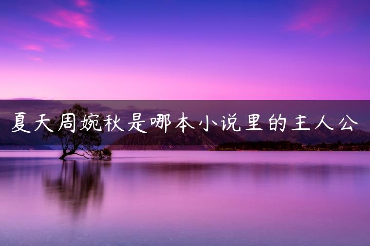夏天周婉秋是哪本小说里的主人公