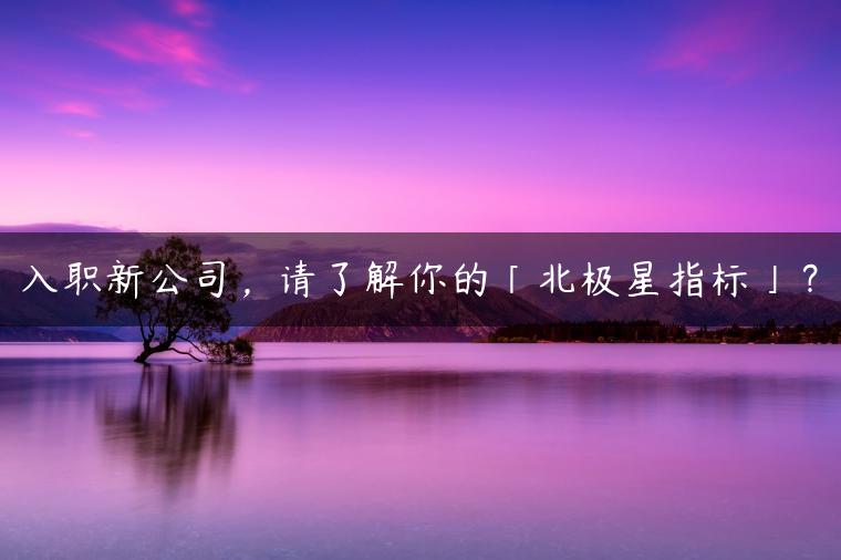 入职新公司，请了解你的「北极星指标」？