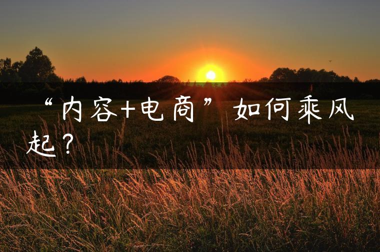 “内容+电商”如何乘风起？