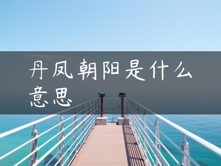 丹凤朝阳是什么意思