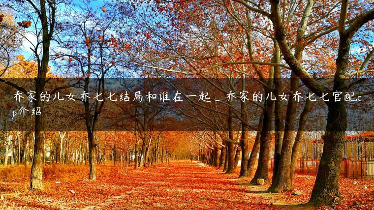 乔家的儿女乔七七结局和谁在一起_乔家的儿女乔七七官配cp介绍