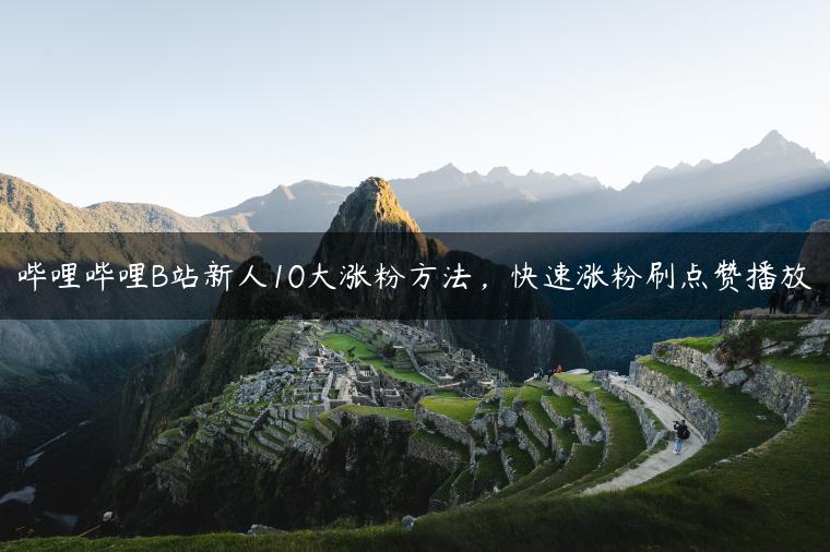 哔哩哔哩B站新人10大涨粉方法，快速涨粉刷点赞播放