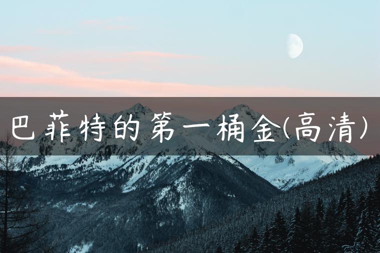 巴菲特的第一桶金(高清)