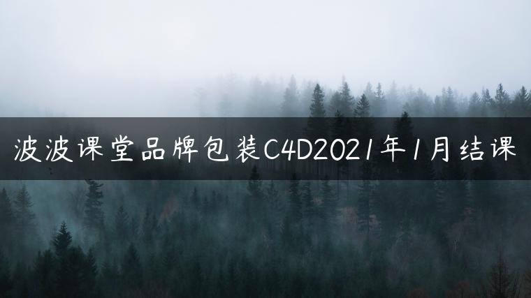 波波课堂品牌包装C4D2021年1月结课