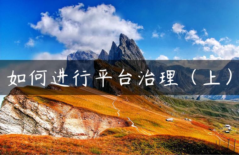 如何进行平台治理（上）