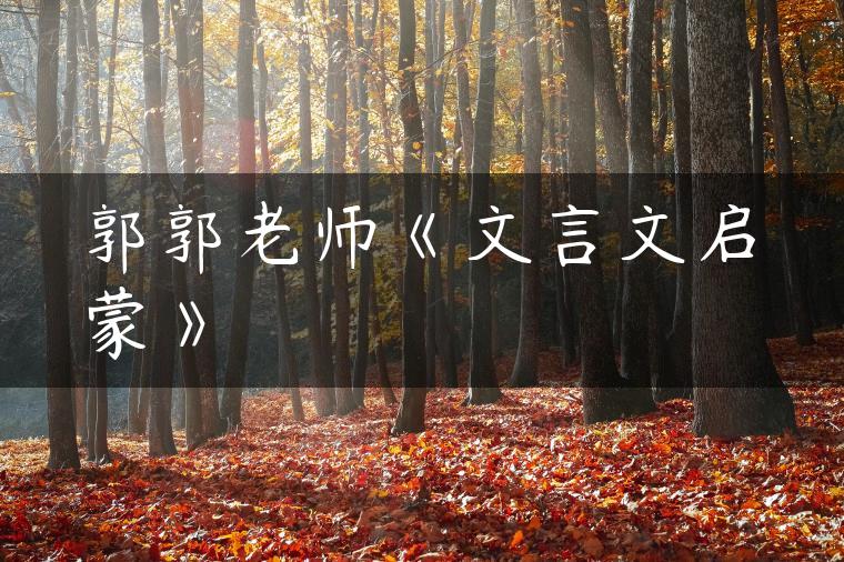 郭郭老师《文言文启蒙》