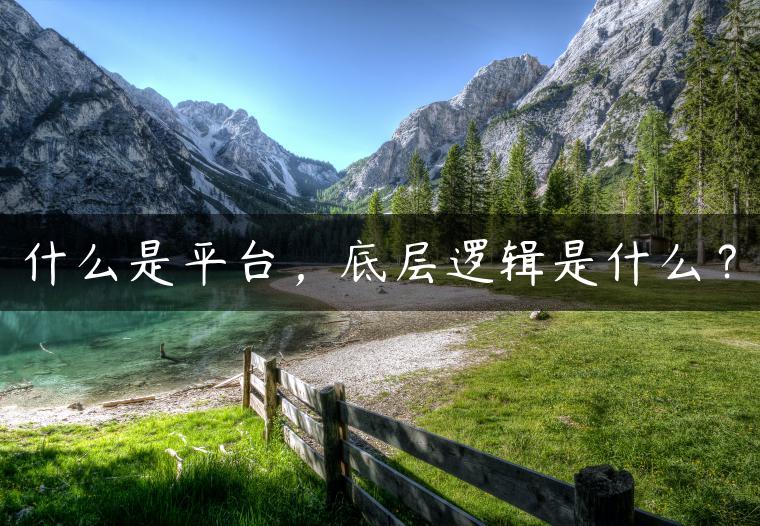 什么是平台，底层逻辑是什么？